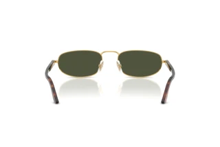 Vista posterior Persol PO1028S (515/31)
