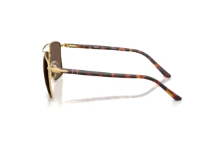 [glasses-side-view] Persol PO1031S (11568T)