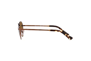 [glasses-side-view] Persol PO2491S (1123M2)