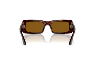 Vista posterior Persol FRANCIS (PO3332S - 24/33)
