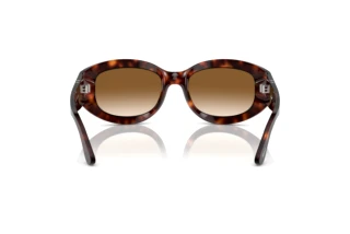 Vista posterior Persol PO3335S (24/51)