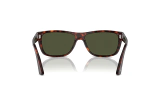 Vista posterior Persol PO3342S (24/31)