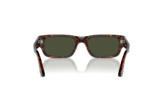 Vista posterior Persol ADRIEN (PO3347S - 24/31)