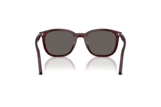 [glasses-back-view] Persol PO3355S (1216B1)