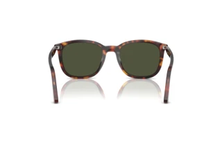 Vista posterior Persol PO3355S (24/31)