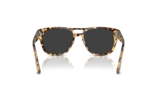 [glasses-back-view] Persol PO3366S (105648)