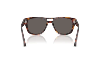 Vista posterior Persol PO3366S (24/B1)