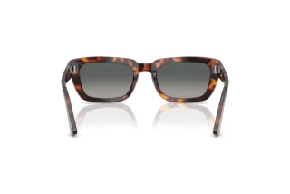 [glasses-back-view] Persol PO3367S (24/71)