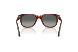 Vista posterior Persol PO3372S (122371)