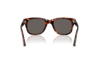 [glasses-back-view] Persol PO3372S (24/B1)