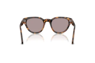 Vista posterior Persol PO3379S (105253)