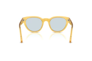 [glasses-back-view] Persol PO3379S (204/56)