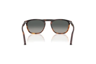 [glasses-back-view] Persol GAE (PO3391S - 116071)