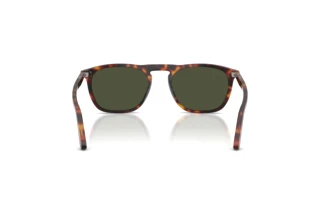 [glasses-back-view] Persol GAE (PO3391S - 24/31)