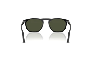 [glasses-back-view] Persol GAE (PO3391S - 95/31)