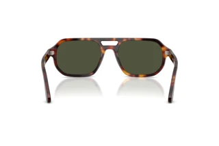 Vista posterior Persol GUIDO (PO3393S - 24/31)