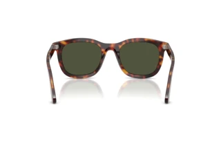Vista posterior Persol PO3395S (24/31)
