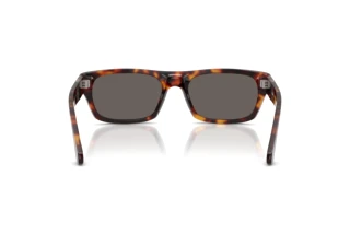 [glasses-back-view] Persol PO3398S (24/B1)