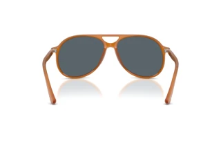 [glasses-back-view] Persol WALTER (PO3403S - 1249R5)