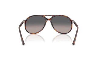 Πίσω όψη Persol WALTER (PO3403S - 24/M3)