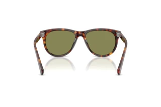 [glasses-back-view] Persol PO3408S (24/4E)