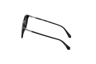 [glasses-side-view] Polaroid PLD 2116/S (807/M9)