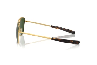 [glasses-side-view] Polo PH3147 (941171)