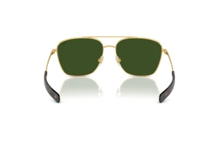 [glasses-back-view] Polo PH3147 (941171)