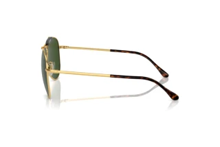 [glasses-side-view] Polo PH3149 (941171)