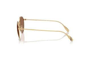 [glasses-side-view] Polo PH3158 (941173)