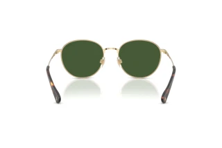 Vedere din spate Polo PH3163 (928671)