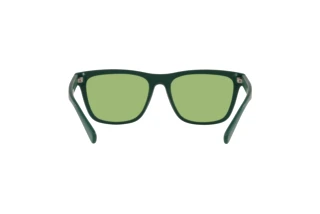 Изглед отзад Polo PH4167 (5421/2)