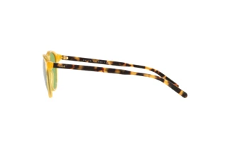 [glasses-side-view] Polo PH4181 (5005/2)