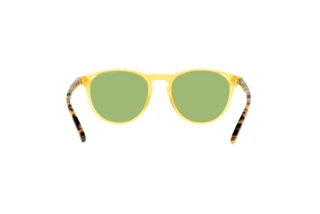 [glasses-back-view] Polo PH4181 (5005/2)