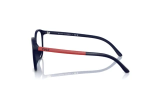 [glasses-side-view] Polo PH4183U (601587)