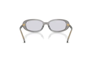 [glasses-back-view] Polo PH4198U (63181A)