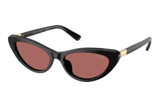 [glasses-front-view] Polo PH4199U (500169)