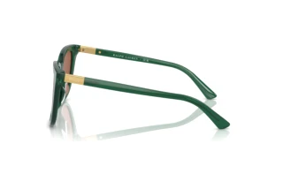 [glasses-side-view] Polo PH4201U (619573)