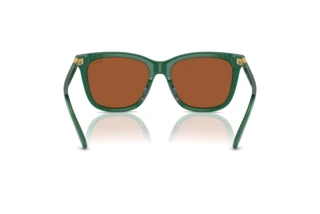 [glasses-back-view] Polo PH4201U (619573)