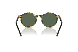 [glasses-back-view] Polo PH4204U (500471)