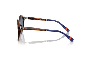 [glasses-side-view] Polo PH4204U (608980)