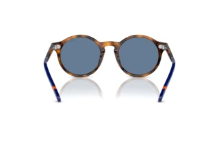 [glasses-back-view] Polo PH4204U (608980)
