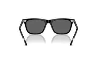 [glasses-back-view] Polo PH4205U (500187)