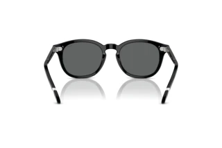 Vista posterior Polo PH4206 (500187)