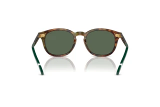 Vista posterior Polo PH4206 (501771)