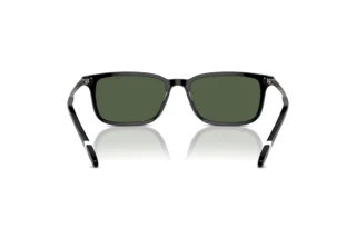 Vista posterior Polo PH4212 (50019A)