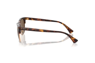 [glasses-side-view] Polo PH4213 (613773)