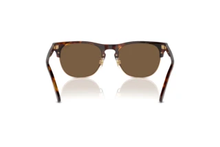 [glasses-back-view] Polo PH4213 (613773)