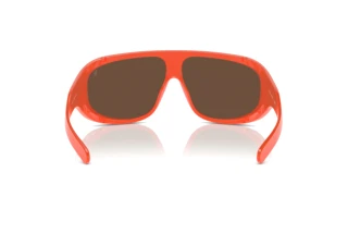 Πίσω όψη Polo PH4215U (6100F9)