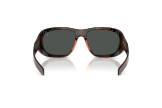 [glasses-back-view] Polo PH4219U (597487)